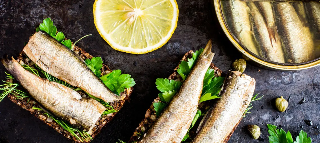Sandwich With Sardines, Sprats With Parsley and Dill