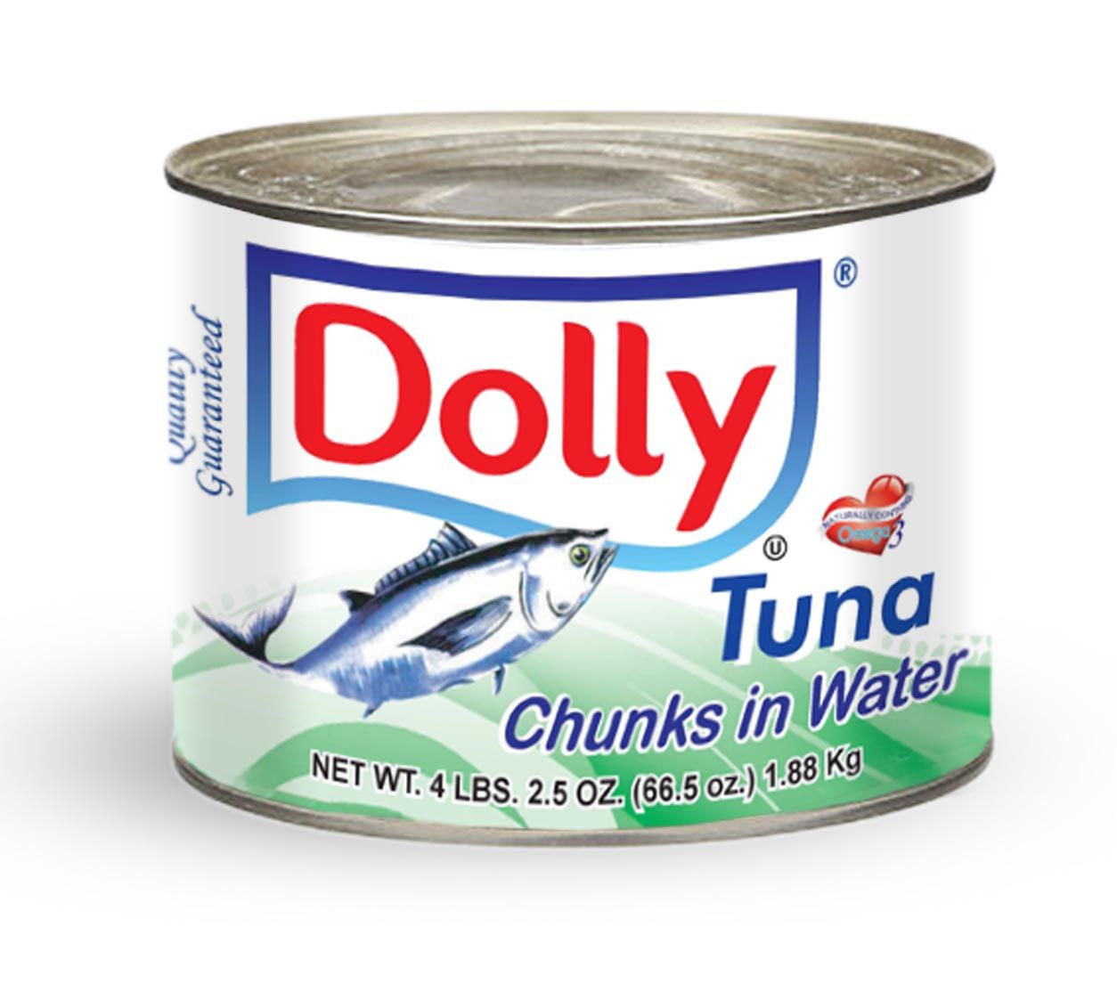 Canned Tuna chunks in water